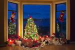 Christmas scene tree lights decorations window dusk