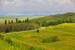 Stock photo of an overview of Cypress Hills Interprovincial Park seen from the Reesor Lake viewpoint, Alberta, Canada.