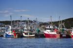 Stock photo of shrimp fishing boats tied up to the dock in the St Anthony Harbour, St Anthony, Viking Trail, Northern Peninsula, Newfoundland, Canada.