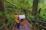 Stock photo of a woman reading an interpretive sign along the Rainforest Trail in the coastal rainforest of Pacific Rim National Park, Long Beach Unit, West Coast, Vancouver Island, British Columbia, Canada.