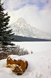 Winter Landscape Mount Chephren Waterfowl Lake Banff National Park Alberta Canada