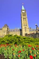 Peace Tower Centre Block Parliament Hill Ottawa Ontario