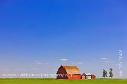 Red barns in the middle of large endless flat field in prairie land Southern Saskatchewan Canada