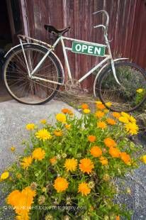 Stock photo of bicycle in front of Nicols' Blacksmith Shop in Duntroon, Waitaki Valley, North Otago, South Island, New Zealand.