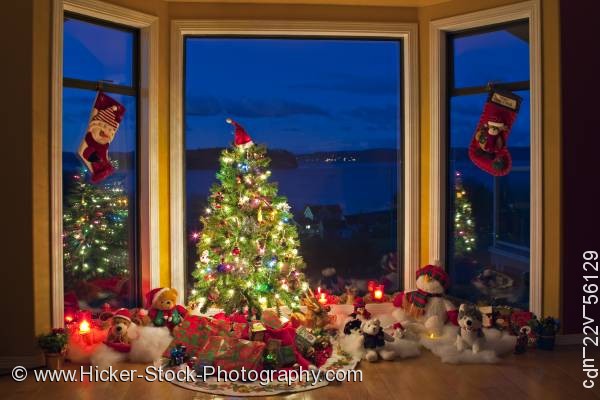 Stock photo of Christmas scene tree lights decorations window dusk