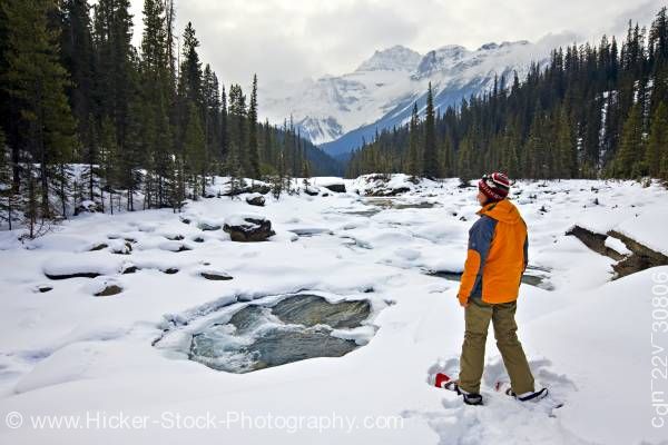 Stock photo of Woman Snowshoes Mistaya River Mount Sarbach Mistaya Canyon Banff National Park Alberta Canada
