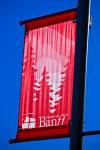 Stock of red banner showing trees and mountains on a black post for Banff Avenue in white letters with an all blue sky background.