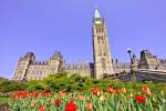 Stock photo of the Centre Block building and Peace Tower with tulip garden on Parliament Hill in the City of Ottawa, Ontario, Canada. 