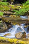 Stock photo of Creek in Monashee Provincial Park, Okanagan, British Columbia, Canada.