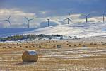 Stock photo of hay bales covered in snow in Cowley back dropped by windmills in Southern Alberta, Canada.