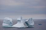 Iceberg watching Iceberg Alley Atlantic Ocean Newfoundland Canada