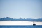 Stock photo of a small sailboat coming out of a fog bank with clear blue sky near Port Hardy.