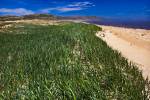 Stock photo of the sand dunes at the mouth of the Pinware River in the Pinware River Provincial Park, Pinware, on a foggy morning, along the Labrador Coastal Drive, Highway 510, Strait of Belle Isle, Viking Trail, Trails to the Vikings, Southern Labrador,