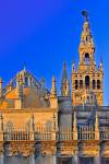 Stock photo of the detail of the Seville Cathedral and La Giralda at sunset, a UNESCO World Heritage Site, Santa Cruz District, City of Sevilla, Province of Sevilla, Andalusia, Spain.