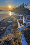Stock photo of several large pieces of driftwood strewn over a rocky outcrop along South Beach at sunset in Pacific Rim National Park, Long Beach Unit, Clayoquot Sound UNESCO Biosphere Reserve, West Coast, Pacific Ocean, Vancouver Island, British Columbia