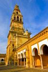 Stock photo of Torre del Alminar, bell tower, of the Mezquita (Cathedral-Mosque) seen from the Patio de los Naranjos, City of Cordoba, UNESCO World Heritage Site, Province of Cordoba, Andalusia (Andalucia), Spain, Europe.