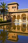 Stock photo of the pool at the Tower of the Ladies (Torres de las Damas) and partal, The Alhambra (La Alhambra) - designated a UNESCO World Heritage Site, City of Granada, Province of Granada, Andalusia (Andalucia), Spain, Europe.