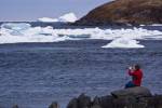 Stock photo of woman iceberg watching from the shore in the town of Quirpon with pack ice in the harbour, Trails to the Vikings, Viking Trail, Great Northern Peninsula, Northern Peninsula, Newfoundland, Canada. Model Released.