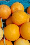 Yellow fishing buoys Conche Harbour Newfoundland Canada