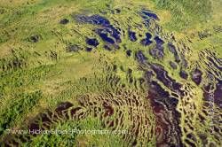 Marshlands and bogs Southern Labrador Labrador Newfoundland Labrador Canada