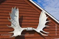 Fishing stage antlers Newfoundland Labrador