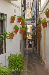 Calleja de las Flores Mezquita bell tower City of Cordoba Province of Cordoba Andalusia Spain Europe