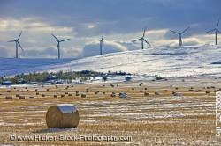 Hay bales snow covered windmills Southern Alberta Canada