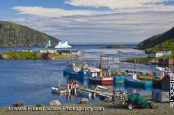 Iceberg stranded harbour Old Bonaventure Bonavista Peninsula Trinity Bay
