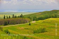 Landscape Viewpoint Cypress Hills Interprovincial Park