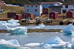 Packed Ice Conche Harbour Northern Peninsula Newfoundland