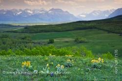 Prairies Waterton Lakes National Park Mountain Range Southern Alberta