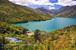 Punga Cove Resort Endeavour Inlet Queen Charlotte Sound Marlborough South Island New Zealand
