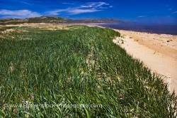 Sand dunes Pinware River Pinware River Provincial Park Labrador Strait of Belle Isle