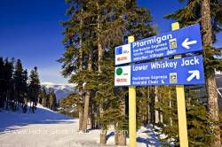 Ski Trail Signs Ptarmigan and Lower Whiskey Jack Whistler Mountain Whistler British Columbia Canada