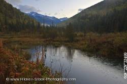 Snow capped Selkirk Mountains forest fall colors British Columbia