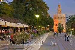 Torre del Oro El Arenal District City of Sevilla Andalusia Spain Europe