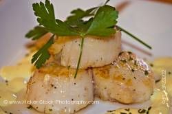Seared Scallops with Hollandaise sauce Tuckamore Lodge Newfoundland Labrador Canada