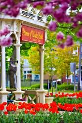 Tulips entrance of Prince of Wales Hotel (built in 1864) in the town of Niagara-on-the-Lake Ontario