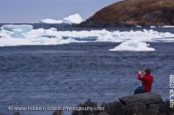 Woman iceberg watching shore Newfoundland