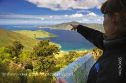 Overlooking Melville Cove Port Gore Jacksons Head Queen Charlotte Sound Marlborough South Island