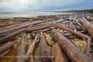 Stock photo of driftwood strewn along Wickaninnish Beach and the rough waters of the Pacific ocean on a cloudy day at Wickaninnish Bay in Pacific Rim National Park, Long Beach Unit, Clayoquot Sound UNESCO Biosphere Reserve, West Coast, Vancouver Island, B