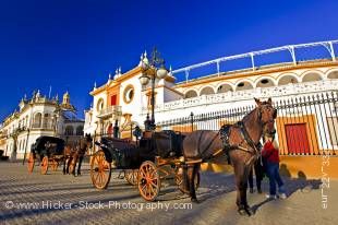 Stock photo of horse drawn open carriages outside the Plaza de Toros de la Maestranza (Bullring) in the El Arenal district, City of Sevilla, Province of Sevilla, Andalusia, Spain, Europe.