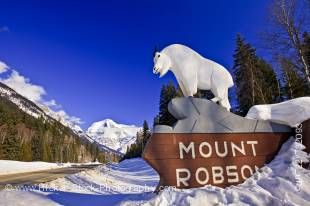 Stock photo of the mountain goat statue atop the sigh for Mount Robson Provincial park along Yellowhead Highway (16) with Mount Robson and a clear deep blue sky in the background in British Columbia, Canada.