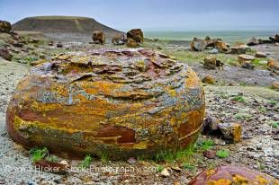 Stock photo of large boulders which are sandstone concretions formed in prehistoric seas seen in the Red Rock Coulee Natural Area situated 65 km southwest of Medicine Hat on Highway 887, Alberta, Canada.