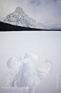 Stock photo of a snow angel made in fresh deep snow on top of Waterfowl Lake with Mount Chephren towering above in Banff National Park in the Canadian Rocky Mountains, Alberta, Canada.