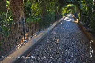 Stock photo of the Stroll of the Rose-bays (Paseo de las Adelfas), at the Generalife next to the Alhambra (La Alhambra) - designated a UNESCO World Heritage Site, City of Granada, Province of Granada, Andalusia (Andalucia), Spain, Europe.