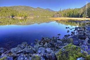 Stock photo of the forest scenery reflects on the water surface of Tofino Inlet, a transition area of the Clayoquot Sound UNESCO Biosphere Reserve, Vancouver Island, British Columbia, Canada.
