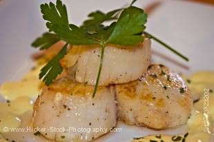 Stock photo of Seared Scallops with Hollandaise sauce, Tuckamore Lodge, Main Brook, Viking Trail, Trails to the Vikings, Great Northern Peninsula, Northern Peninsula, Newfoundland, Newfoundland Labrador, Canada.