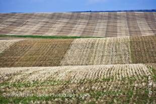 Stock photo of the trimmed and two toned brown wheat fields along Highway 5 between Cardston and Spring Coulee, Southern Alberta, Alberta, Canada.