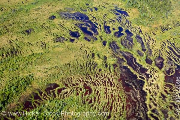 Stock photo of Marshlands and bogs Southern Labrador Labrador Newfoundland Labrador Canada